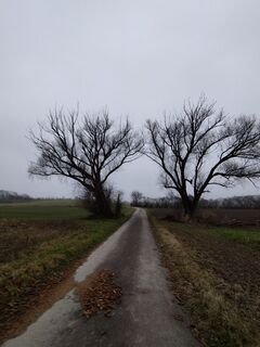 Foto de Markus Hummelbrunner a lo largo del recorrido