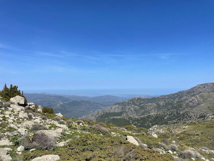 Weg 17 : Monte Astu