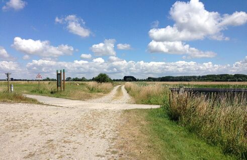 Quend_Kreuzung-Weg-und-Fahrradweg