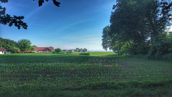 Blick von kleiner Kapelle