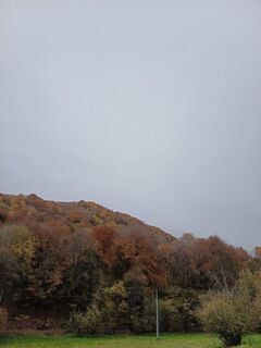 Zdjęcie z Aner wzdłuż trasy