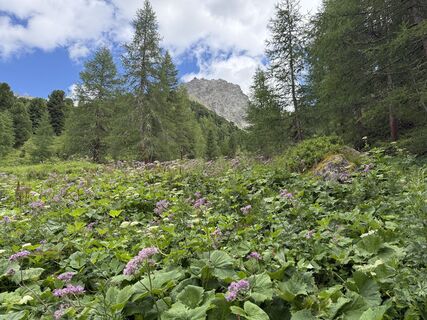 Foto von Han en Christa Jordaan entlang der Tour