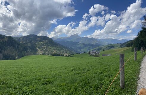 Foto von Dagmar Gaertner entlang der Tour