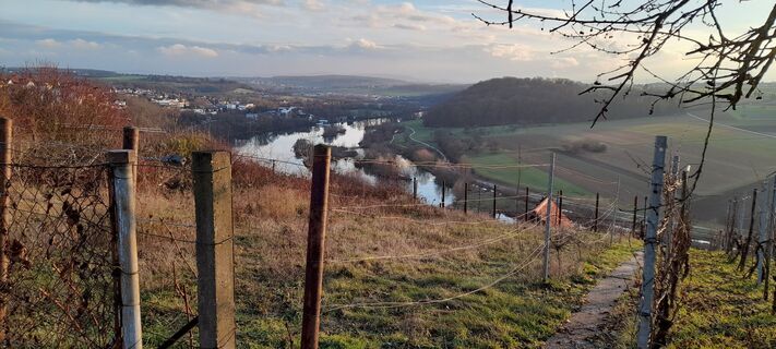 Blick auf Zugwiesen gegenüber von Poppenweiler