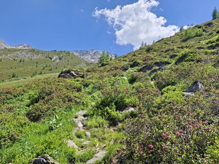 Foto von Josef Wildauer entlang der Tour