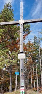 Foto von Waldfred entlang der Tour