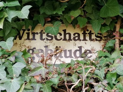 Foto von Wanderfux entlang der Tour