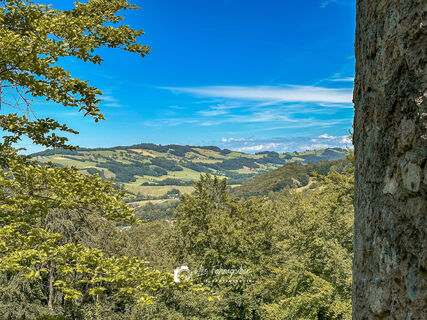 Fotografija s spletne strani Leo Fahrngruber na poti