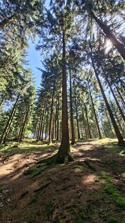 Photo de Torsten Sledz le long du parcours