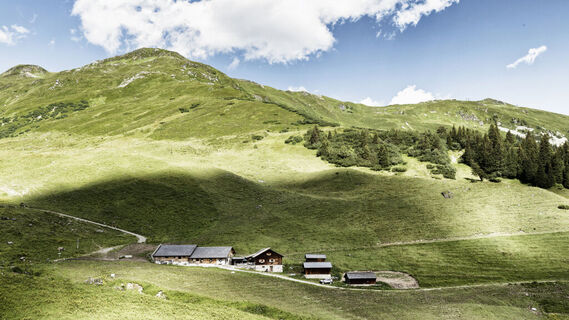 Alpe Latschätz