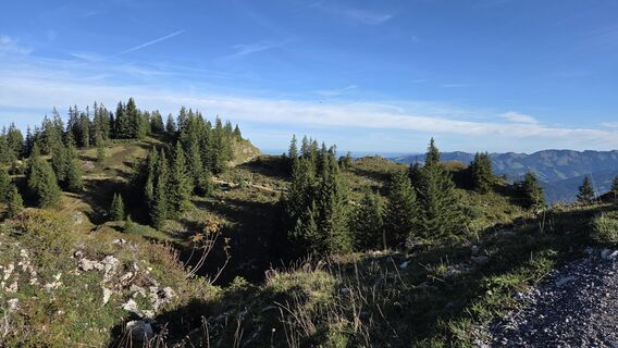 Fotografia z V Feurstein na trase