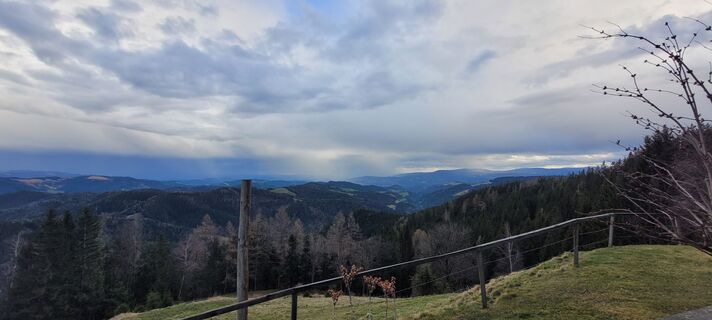 Fotografia z passiflora71 na trase