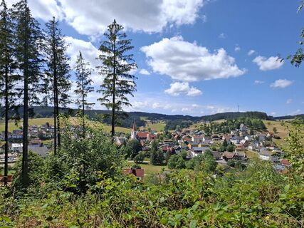 Blick auf Schonach
