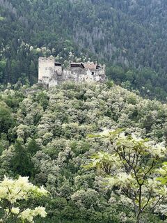 Foto från Peter Schäfer under resans gång