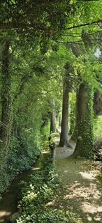 Photo de titi le long du parcours
