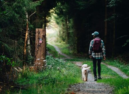 Wanderin auf einem Schotterweg auf dem Rothaarsteig