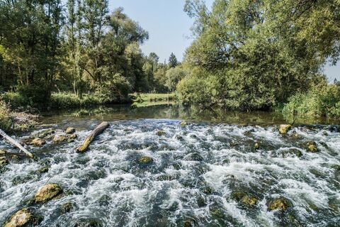 Ursprung des Bieres