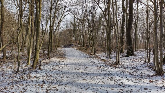 Fotó a bergwolfi honlapról a túra során
