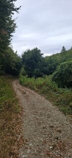 Photo de Launga76 le long du parcours