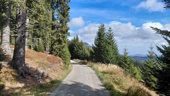 Foto von Wolfgang Arlic 1 entlang der Tour