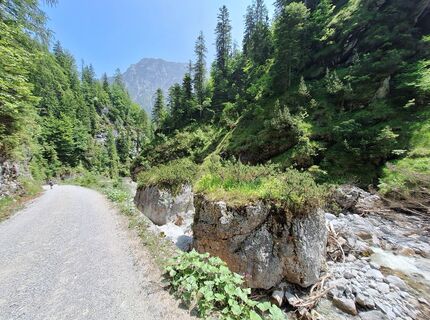 Foto von Hermann E. entlang der Tour