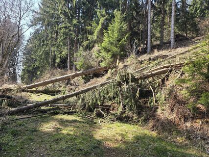 Foto von euterpe42 entlang der Tour