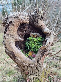 Kuva osoitteesta Dagmar Hofer matkan varrella