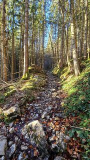Photo de se_muck le long du parcours