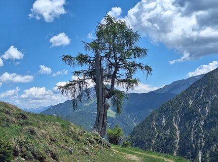 Foto von Gabrielasttz entlang der Tour