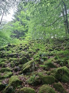Foto von Andrea entlang der Tour