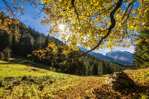 Foto von Thomas Schramm 1 entlang der Tour