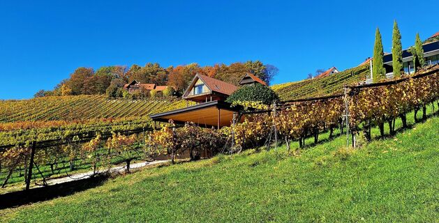 Fotó a Susi Puhl honlapról a túra során