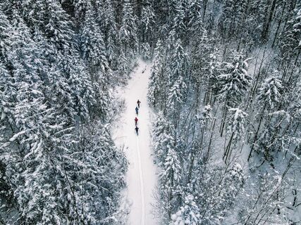 Verschneites Winterparadies