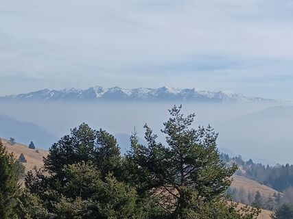 Fotografija s spletne strani Daniele Spezia na poti