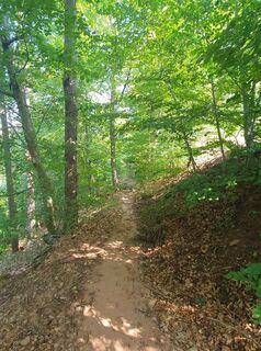 Fotografie z Christian Stieber na trase