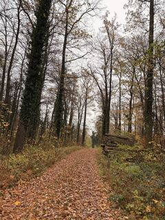 Foto von Marion Schedel entlang der Tour