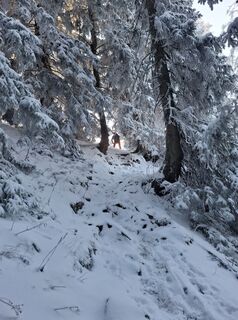 Foto de Günther Forsthuber a lo largo del recorrido