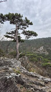 Fotografie z Claudia Maurer na trase