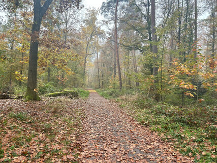 Graf von Wiser Weg
