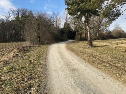 In den Wald