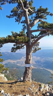 Photo de Aga M le long du parcours