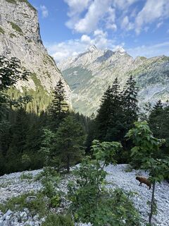 Fotografia z Bernd Drescher na trase