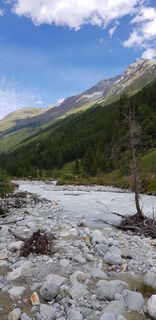 Fotografia z Anselmo Mazzolini na trase