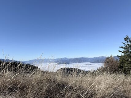 Fotografia z Anton Lilek na trase