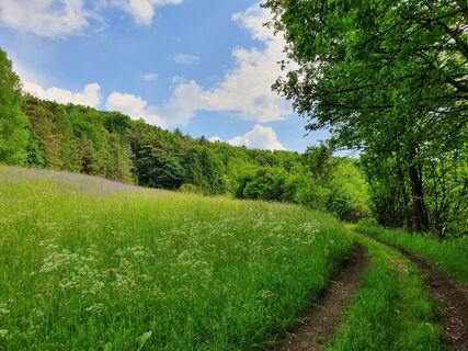 Weg nach Zant