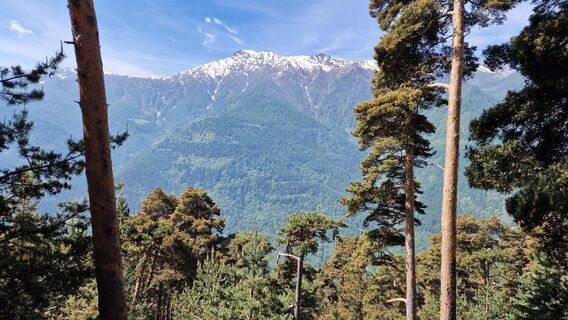 Foto de Fabrizi Mellano a lo largo del recorrido