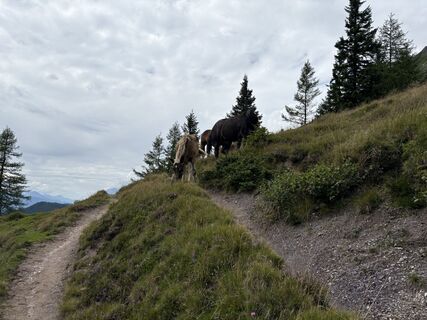 Foto von Dirk Vollbrecht entlang der Tour
