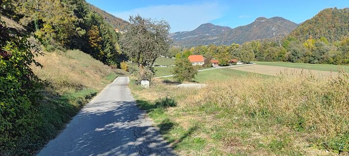 Fotografija s spletne strani wolfkl na poti
