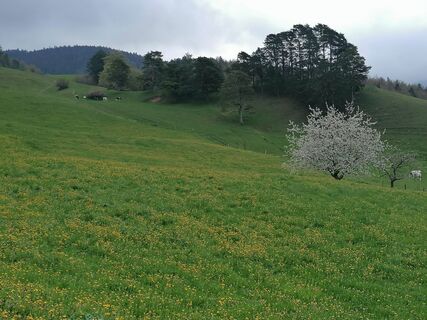 Fotografia z luyyy na trase