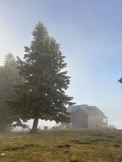 Photo de Georgiamartin0815 le long du parcours